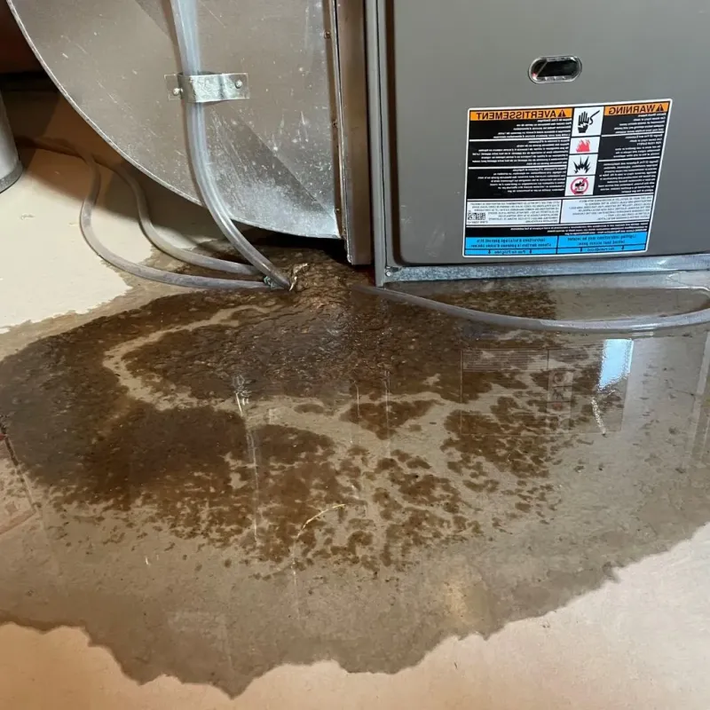 Pipe Burst and Leak Restoration in Bell Gardens, CA